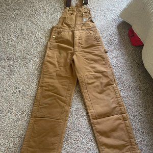 Carhartt Insulated Overalls/Biberalls